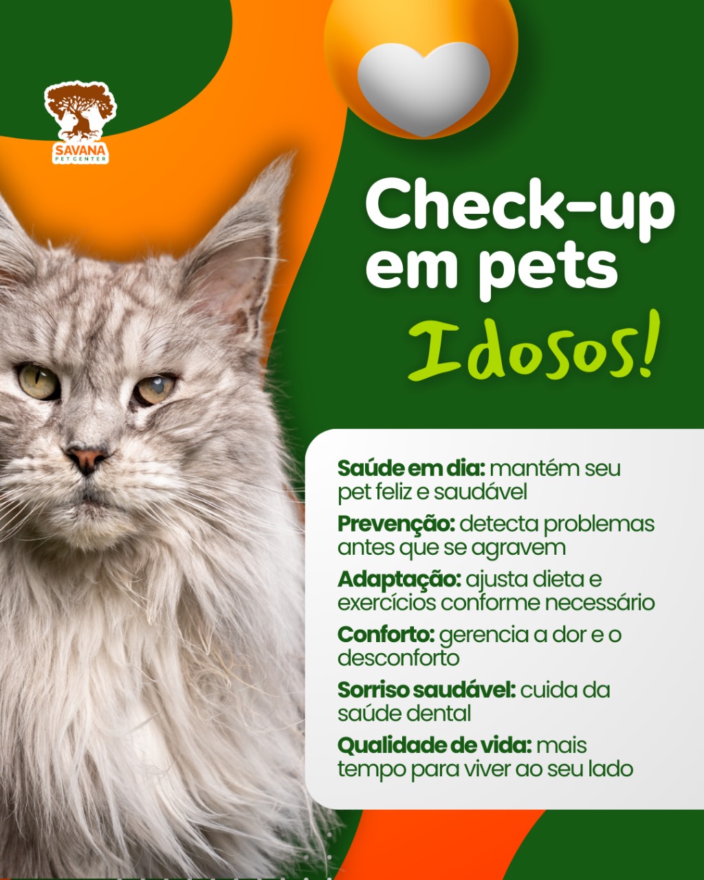 Imagem ilustrativa de Veterinário para animais silvestres