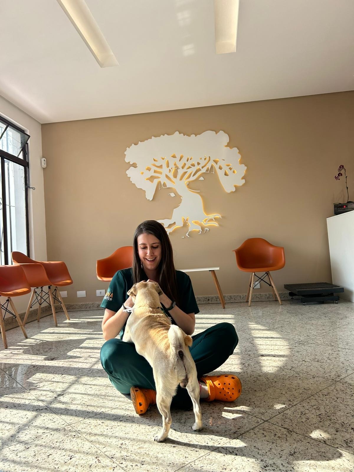 Imagem ilustrativa de Ortopedista veterinário para convênio Petlove