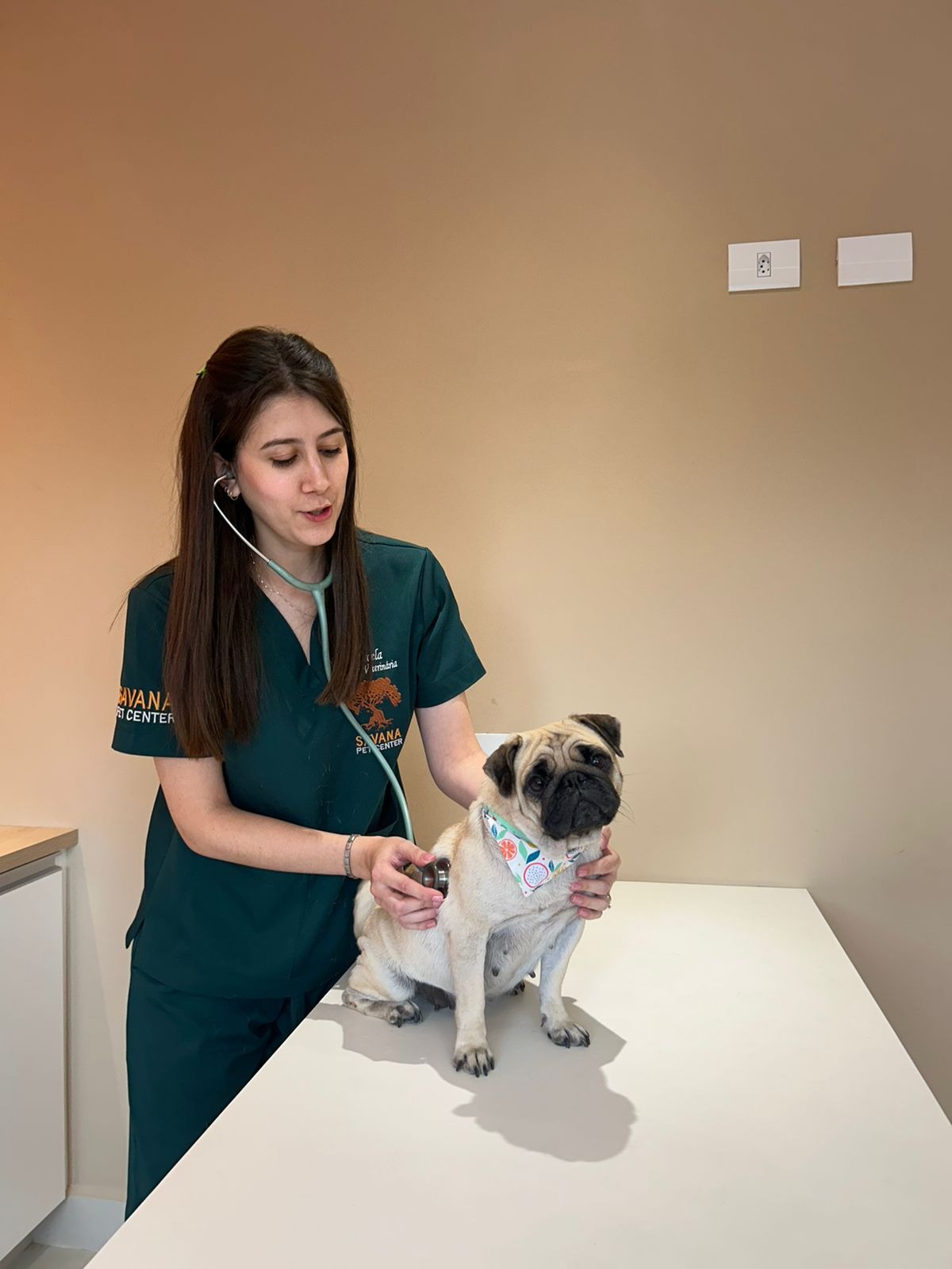 Imagem ilustrativa de Veterinário que atende convênio Petlove em Guarulhos